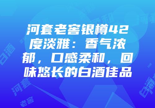 河套老窖银樽42度淡雅：香气浓郁，口感柔和，回味悠长的白酒佳品