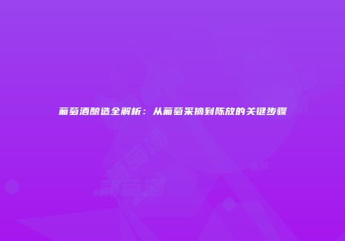 葡萄酒酿造全解析：从葡萄采摘到陈放的关键步骤