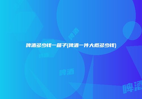 啤酒多少钱一箱子(啤酒一件大概多少钱)
