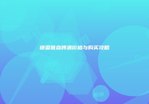德国唯森啤酒价格与购买攻略