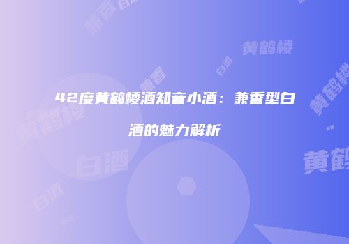 42度黄鹤楼酒知音小酒：兼香型白酒的魅力解析