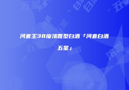 河套王38度浓香型白酒「河套白酒五星」