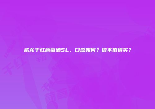 威龙干红葡萄酒5L，口感如何？值不值得买？