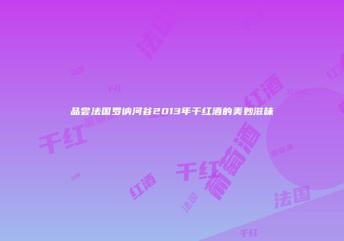 品尝法国罗讷河谷2013年干红酒的美妙滋味