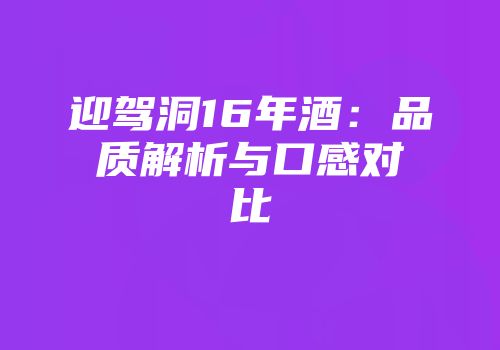 迎驾洞16年酒：品质解析与口感对比