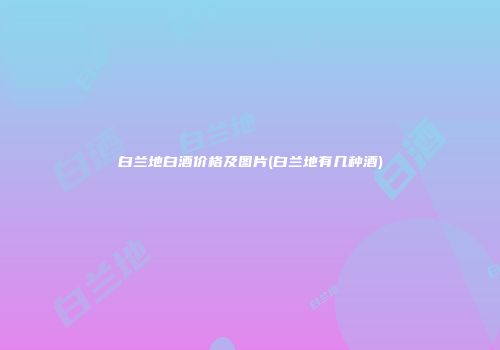 白兰地白酒价格及图片(白兰地有几种酒)