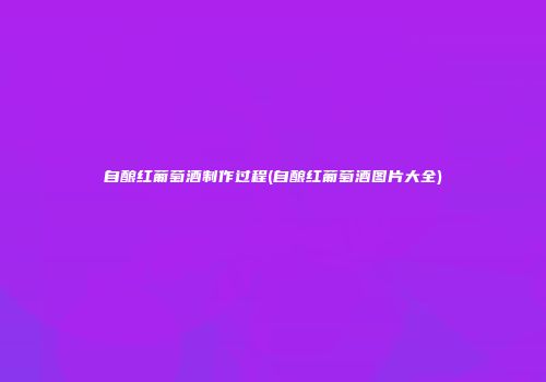 自酿红葡萄酒制作过程(自酿红葡萄酒图片大全)