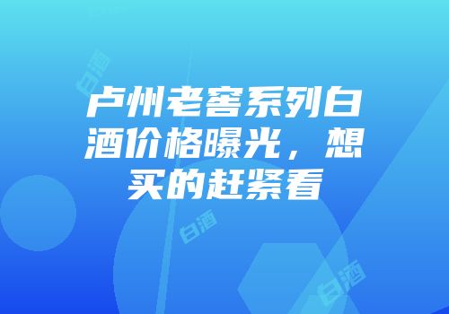 卢州老窖系列白酒价格曝光，想买的赶紧看