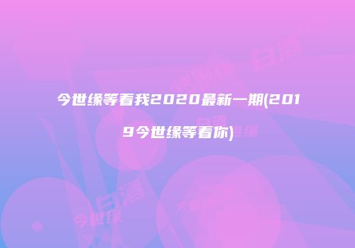 今世缘等着我2020最新一期(2019今世缘等着你)