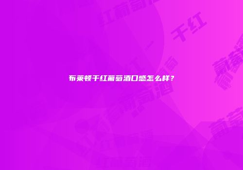 布莱顿干红葡萄酒口感怎么样？