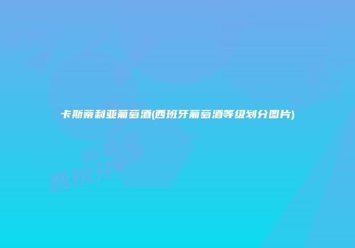 卡斯蒂利亚葡萄酒(西班牙葡萄酒等级划分图片)