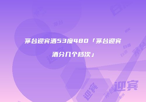 茅台迎宾酒53度480「茅台迎宾酒分几个档次」