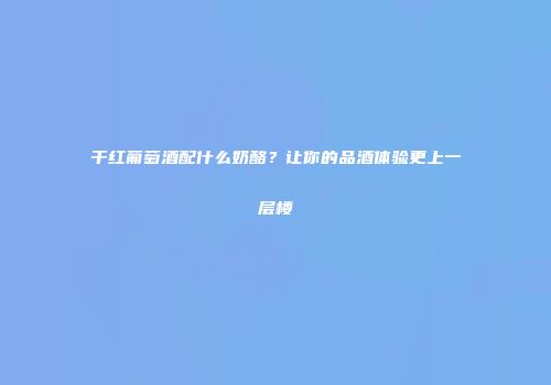 干红葡萄酒配什么奶酪？让你的品酒体验更上一层楼