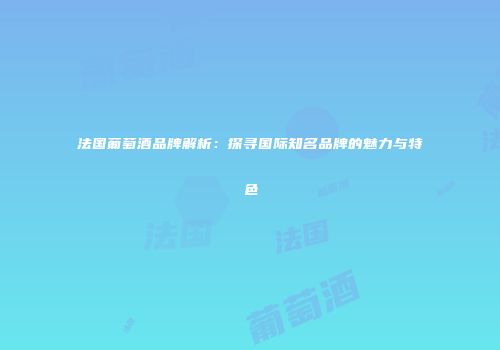 法国葡萄酒品牌解析：探寻国际知名品牌的魅力与特色
