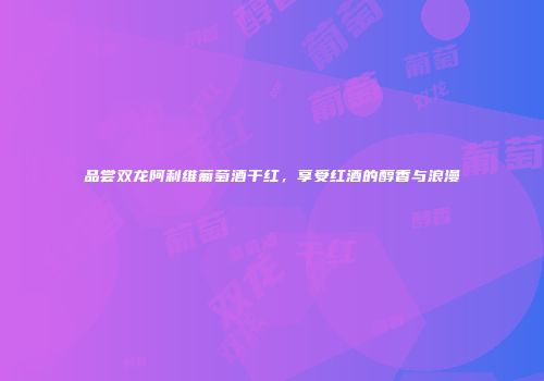 品尝双龙阿利维葡萄酒干红，享受红酒的醇香与浪漫