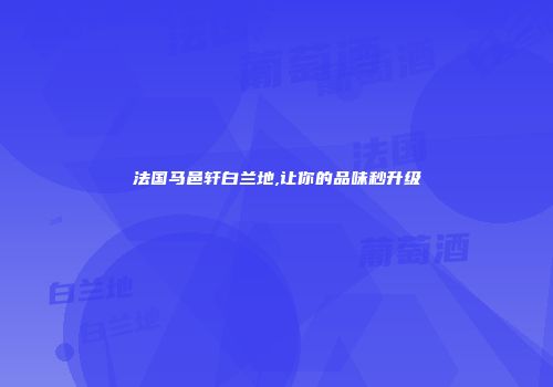 法国马邑轩白兰地,让你的品味秒升级
