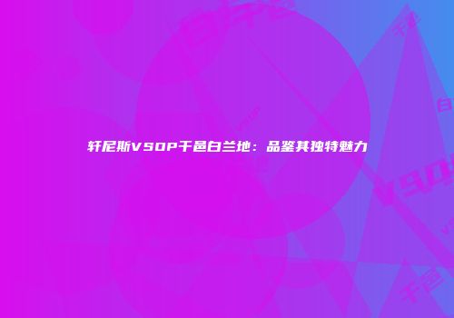 轩尼斯VSOP干邑白兰地：品鉴其独特魅力