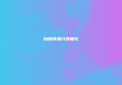 自酿啤酒分步糖化