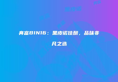 奔富BIN16：黑皮诺佳酿，品味非凡之选
