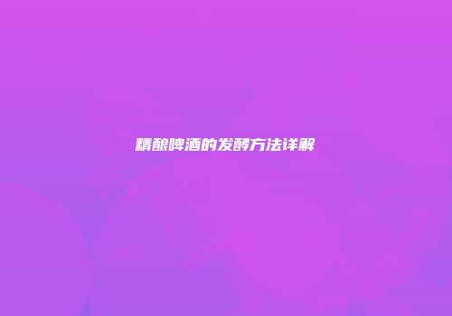 精酿啤酒的发酵方法详解