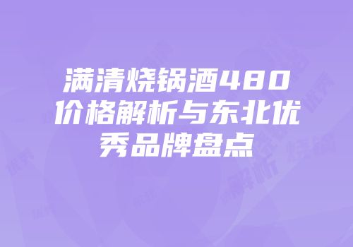 满清烧锅酒480价格解析与东北优秀品牌盘点