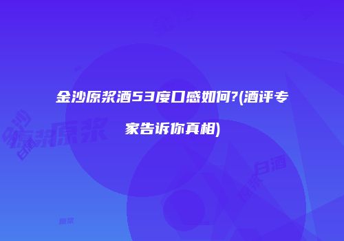 金沙原浆酒53度口感如何?(酒评专家告诉你真相)
