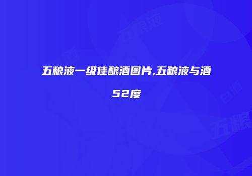 五粮液一级佳酿酒图片,五粮液与酒52度