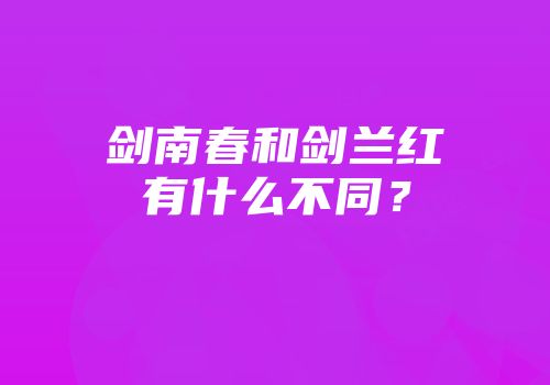 剑南春和剑兰红有什么不同？