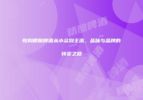 收购精酿啤酒从小众到主流，品味与品牌的转变之路
