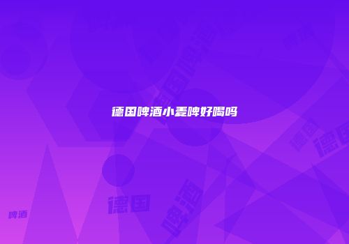 德国啤酒小麦啤好喝吗