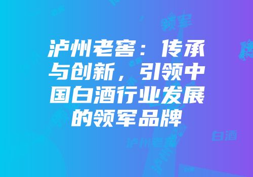 泸州老窖：传承与创新，引领中国白酒行业发展的领军品牌
