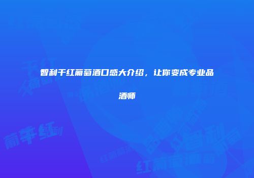 智利干红葡萄酒口感大介绍，让你变成专业品酒师