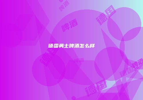 德国勇士啤酒怎么样