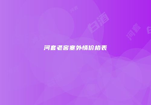 河套老窖塞外情价格表