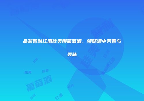 品鉴智利红酒佳美娜葡萄酒，领略酒中芳香与美味