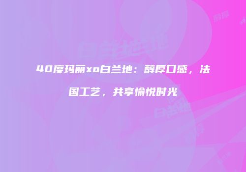 40度玛丽xo白兰地：醇厚口感，法国工艺，共享愉悦时光