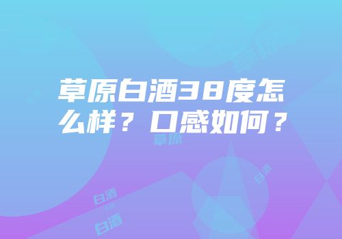 草原白酒38度怎么样？口感如何？