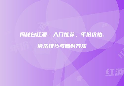 揭秘白红酒：入门推荐、年份价格、清洗技巧与自制方法