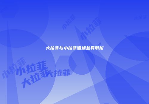 大拉菲与小拉菲酒标差异解析