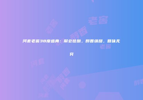 河套老窖38度盛典：聚会佳酿，醇香绵甜，回味无穷