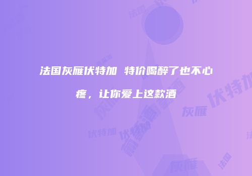 法国灰雁伏特加 特价喝醉了也不心疼，让你爱上这款酒