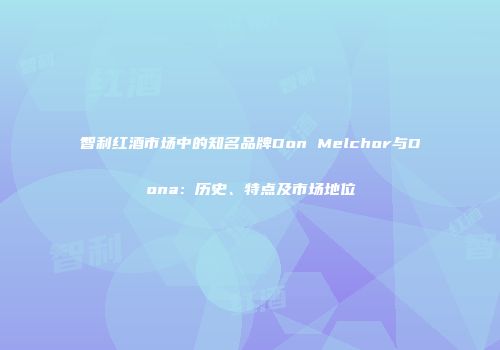 智利红酒市场中的知名品牌Don Melchor与Dona：历史、特点及市场地位