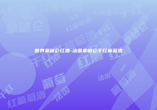 世界拿破仑红酒-法国拿破仑干红葡萄酒