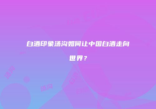 白酒印象汤沟如何让中国白酒走向世界？