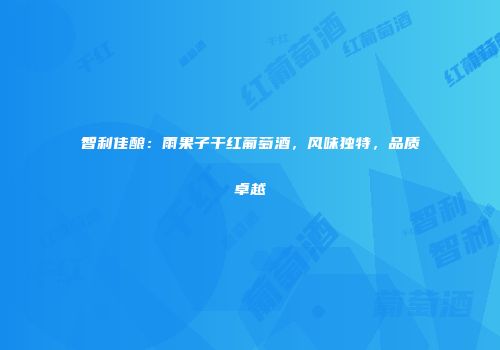 智利佳酿：雨果子干红葡萄酒，风味独特，品质卓越