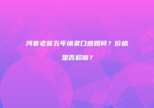 河套老窖五年绵柔口感如何？价格是否超值？