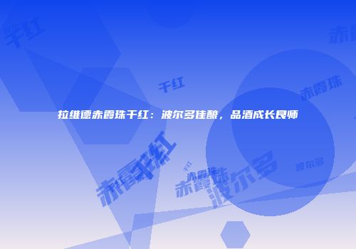 拉维德赤霞珠干红：波尔多佳酿，品酒成长良师