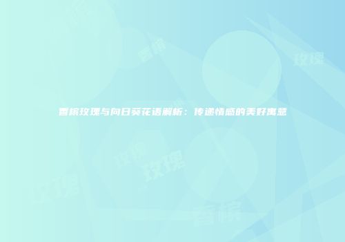 香槟玫瑰与向日葵花语解析：传递情感的美好寓意