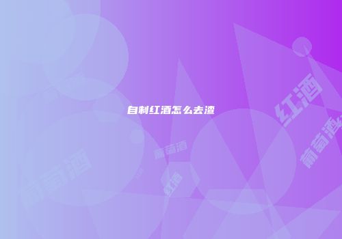自制红酒怎么去渣