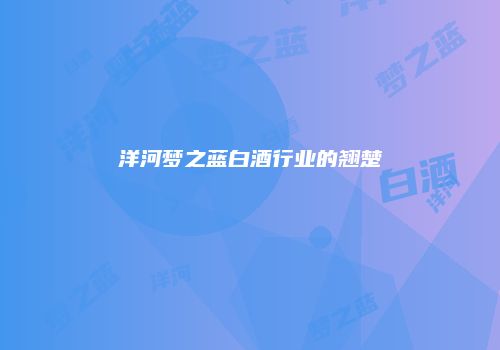 洋河梦之蓝白酒行业的翘楚